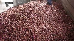 মানিকগঞ্জে পেঁয়াজের বাজার চড়া